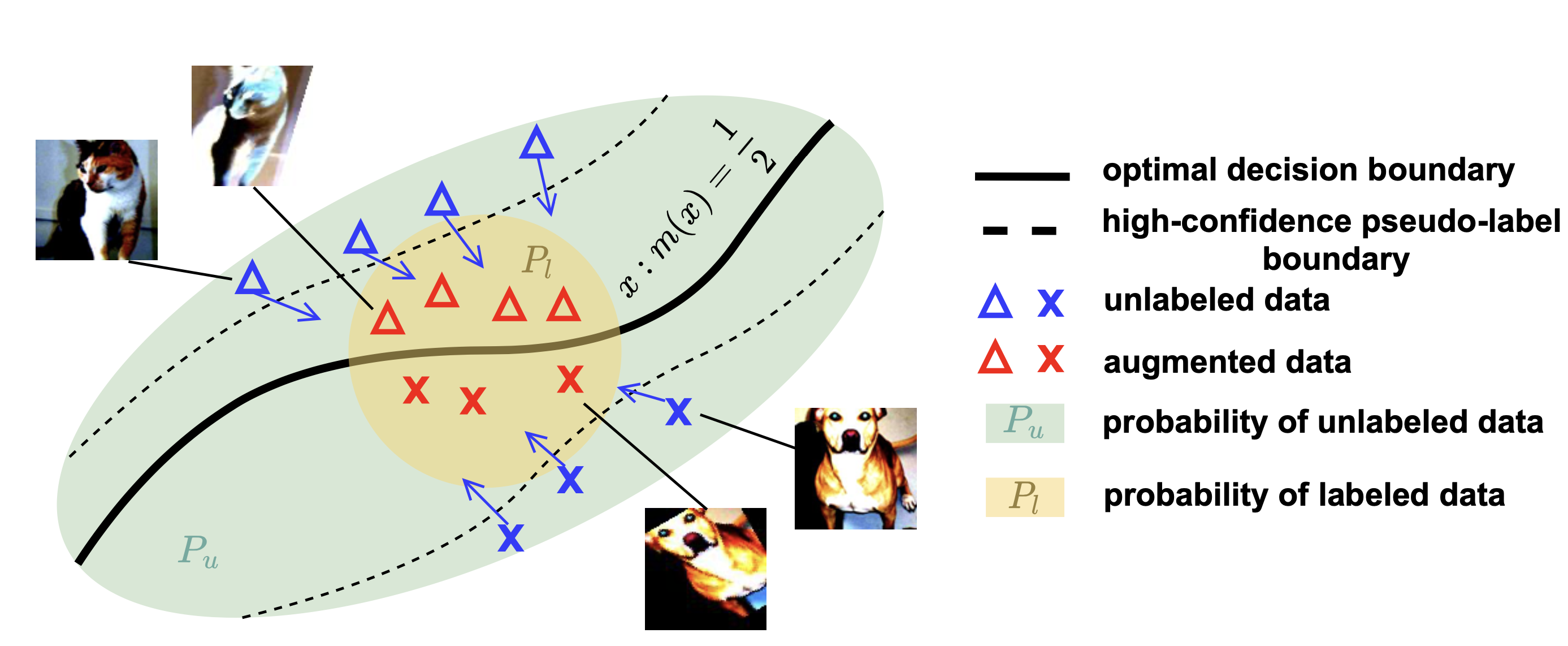 Sample Predictions